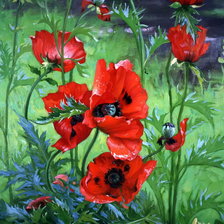 Схема вышивки «Маки чудесные»