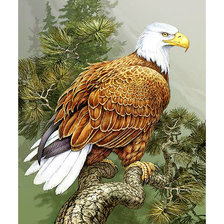 Схема вышивки «Серия "Птицы"»