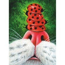 Схема вышивки «Удерживаю равновесие»