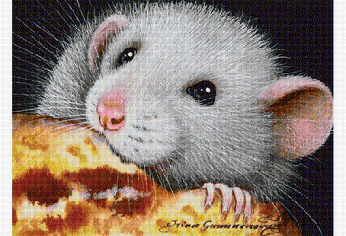 Вкусный кусочек - мышка - предпросмотр