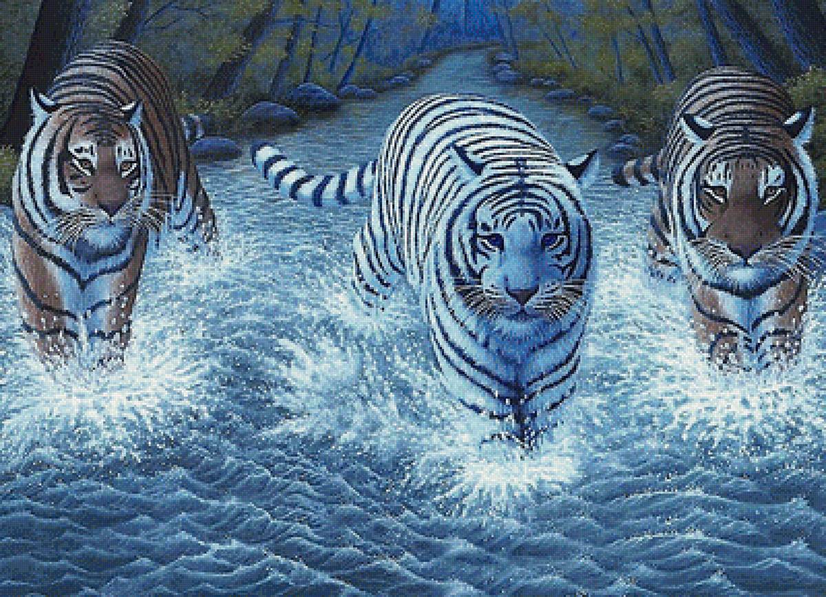 тигры - мир животных - предпросмотр