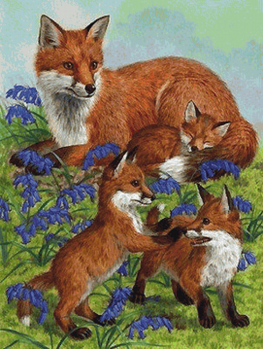 лисы - мир животных - предпросмотр