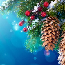 Схема вышивки «Шишки»