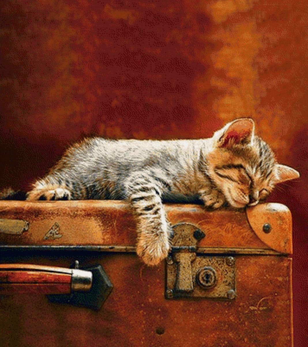 Устал - кот, кошка, котенок - предпросмотр