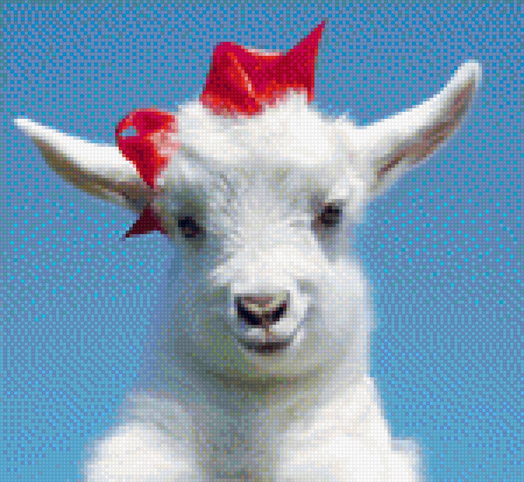 Коза - предпросмотр