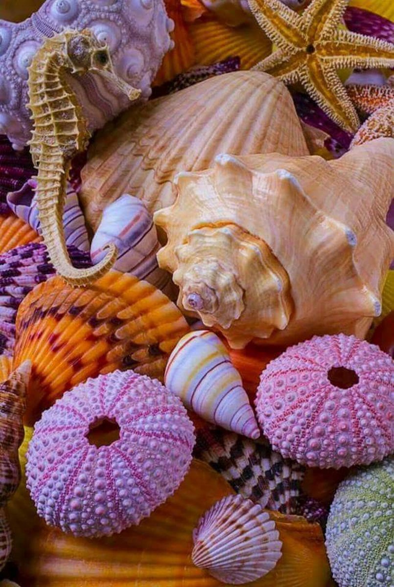 №1846346 - оригинал