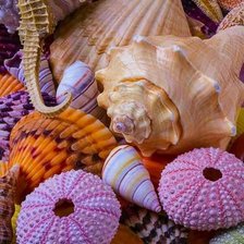 Схема вышивки «№1846346»