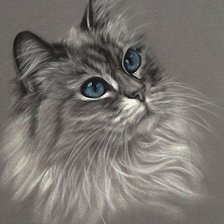 Схема вышивки «котик»