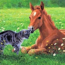 Схема вышивки «Котик с жеребёнком»