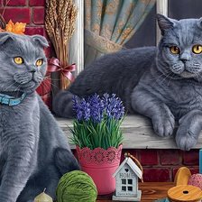 Схема вышивки «коты»