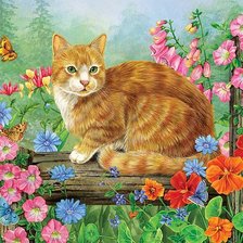 Схема вышивки «кот»