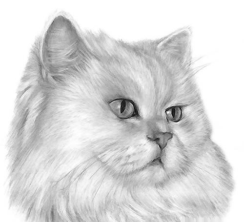 рисунок - оригинал