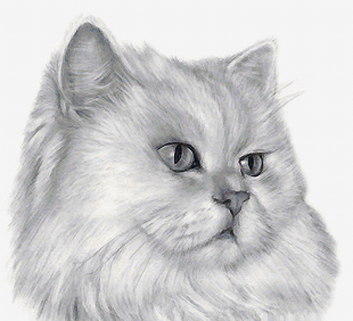 рисунок - предпросмотр