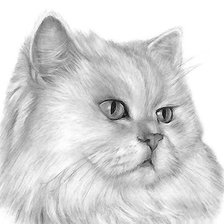 Схема вышивки «рисунок»