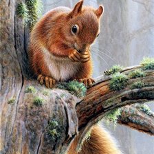 Схема вышивки «Рыжая бестия»