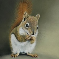 Схема вышивки «Милашка»