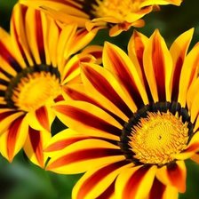 Схема вышивки «цветок»