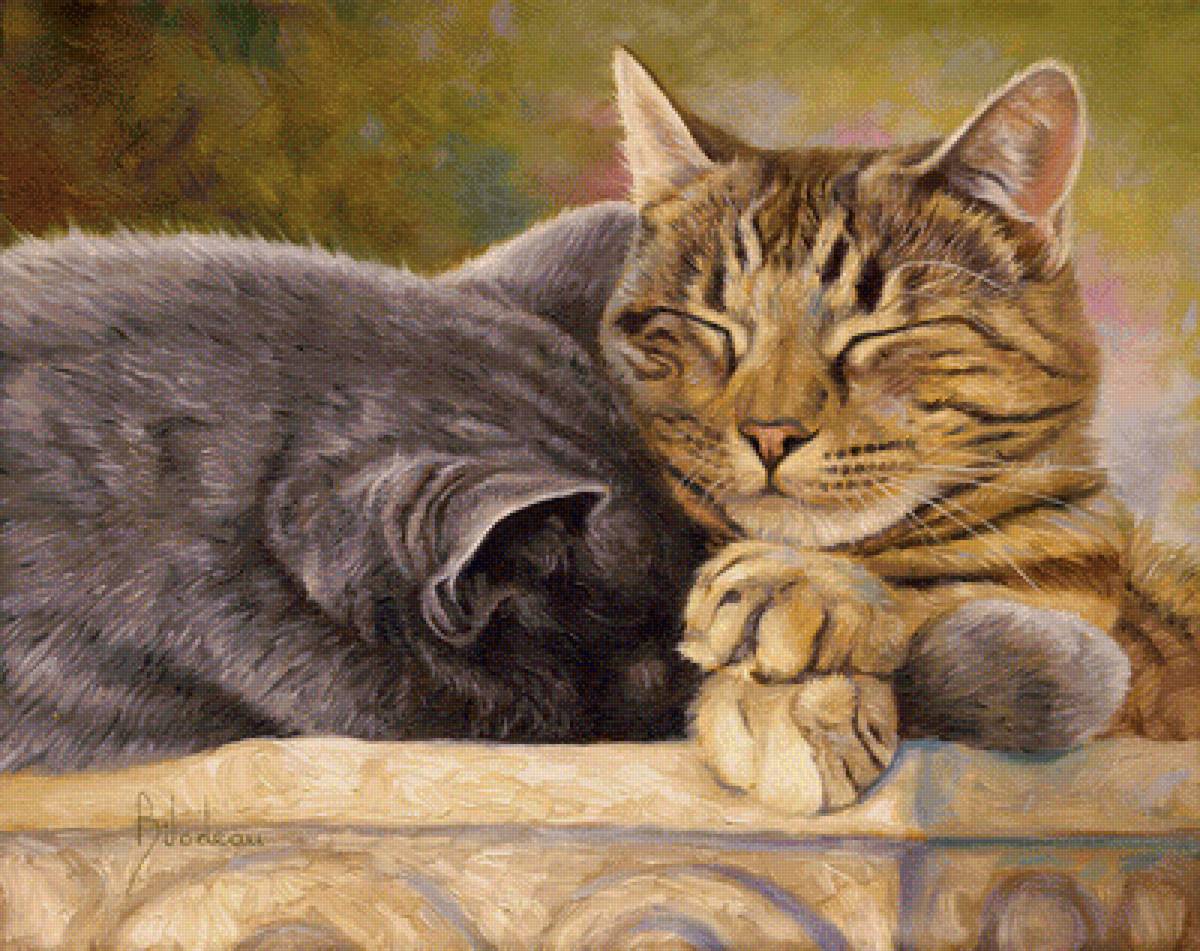 Кошачья любовь - кошки - предпросмотр