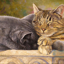 Кошачья любовь