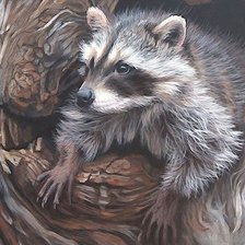 Схема вышивки «енот»