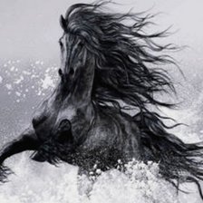 Схема вышивки «Черний ветер»