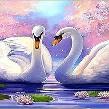 Схема вышивки «ЛЕБИДИ-2»