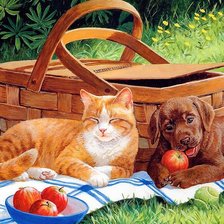 Схема вышивки «котенок и щенок»