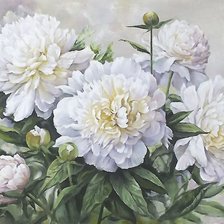 Схема вышивки «ПИОНЫ»