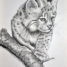 Схема вышивки «рысёнок»