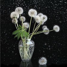 Схема вышивки «одуванчики»