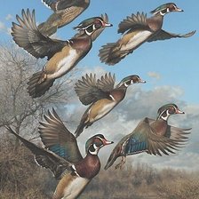 Схема вышивки «птицы»