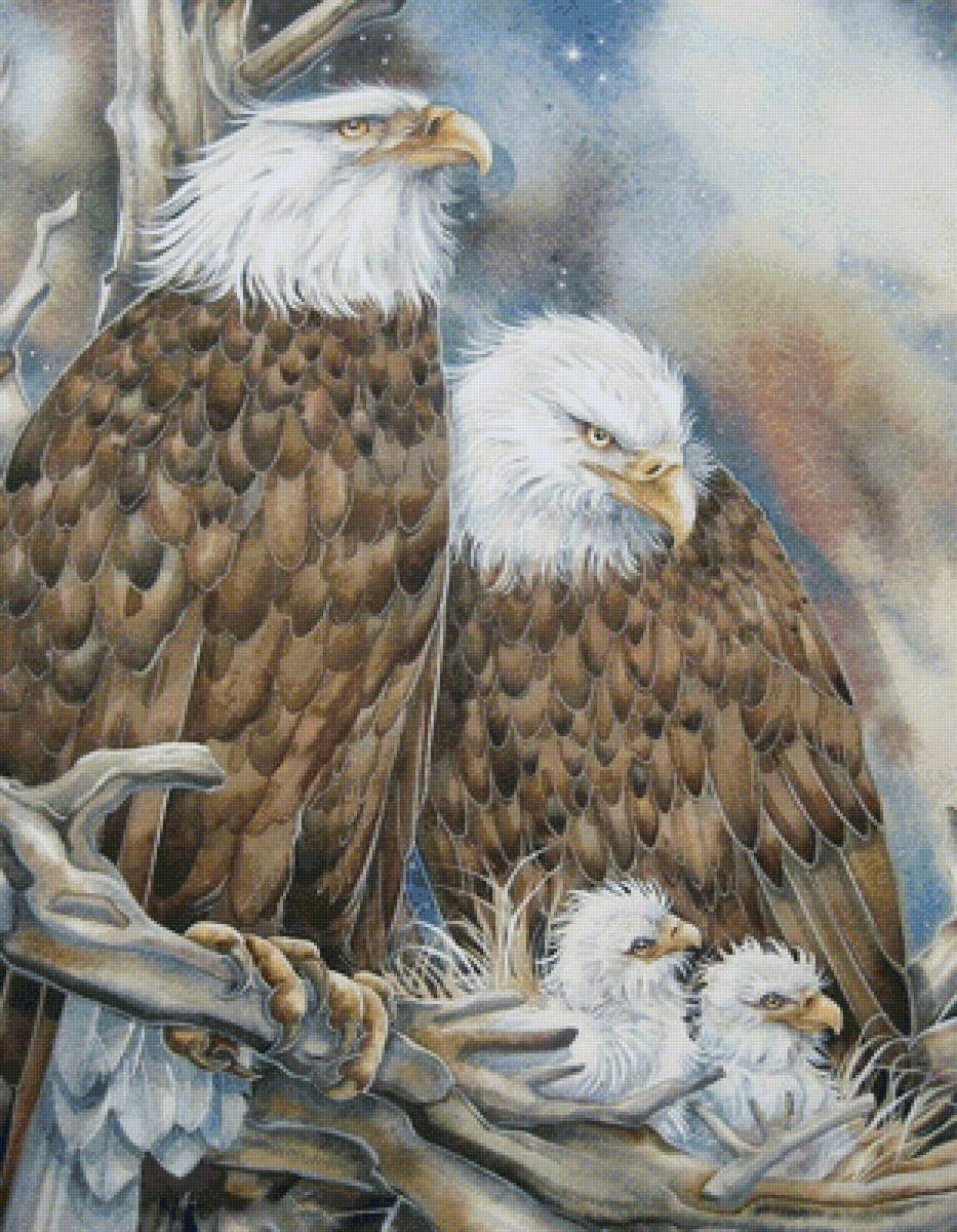 Птицы в гнезде - орлан, птенцы, птицы - предпросмотр