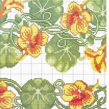 Схема вышивки «настурция»
