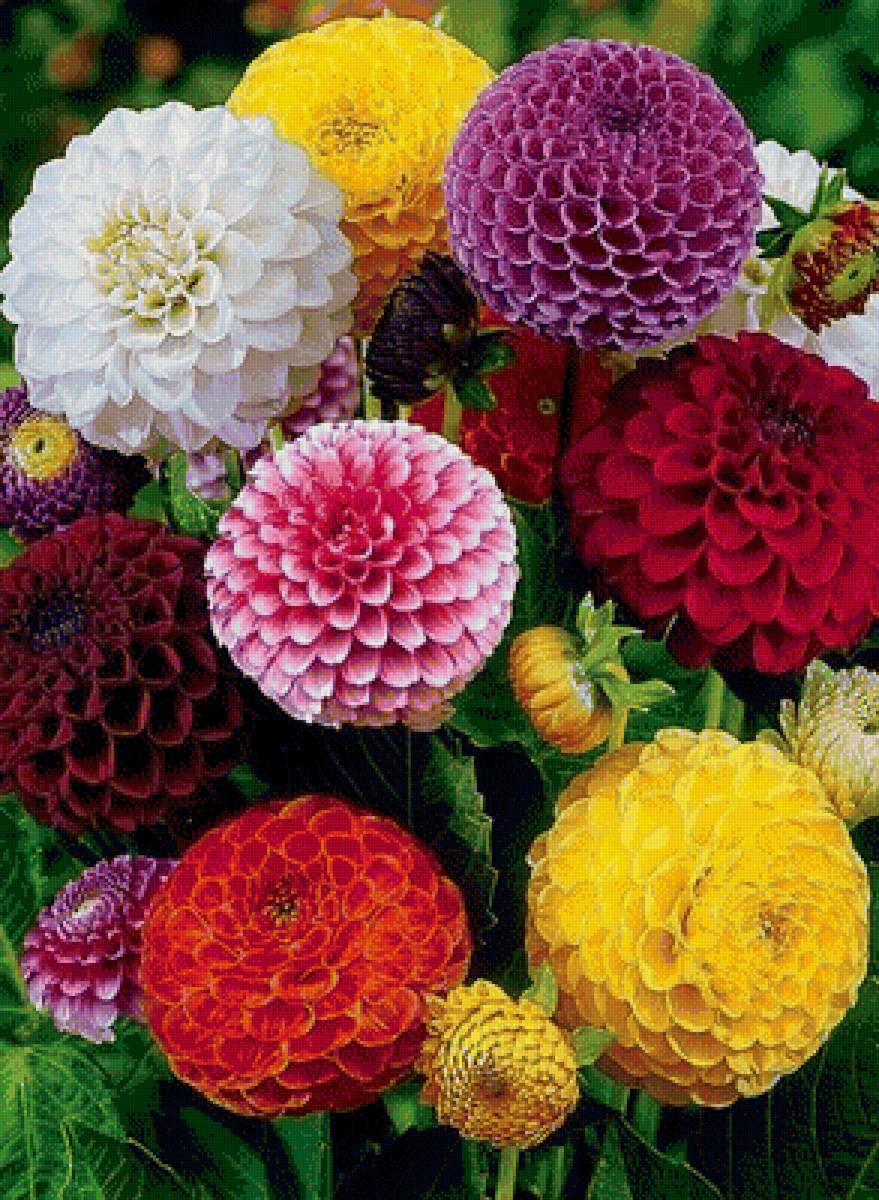 444 - предпросмотр