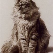 Схема вышивки «Сибиряк»