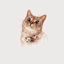 Схема вышивки «Рисунок 1»