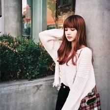 Схема вышивки «Лиса»