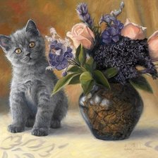 Любознательный котик