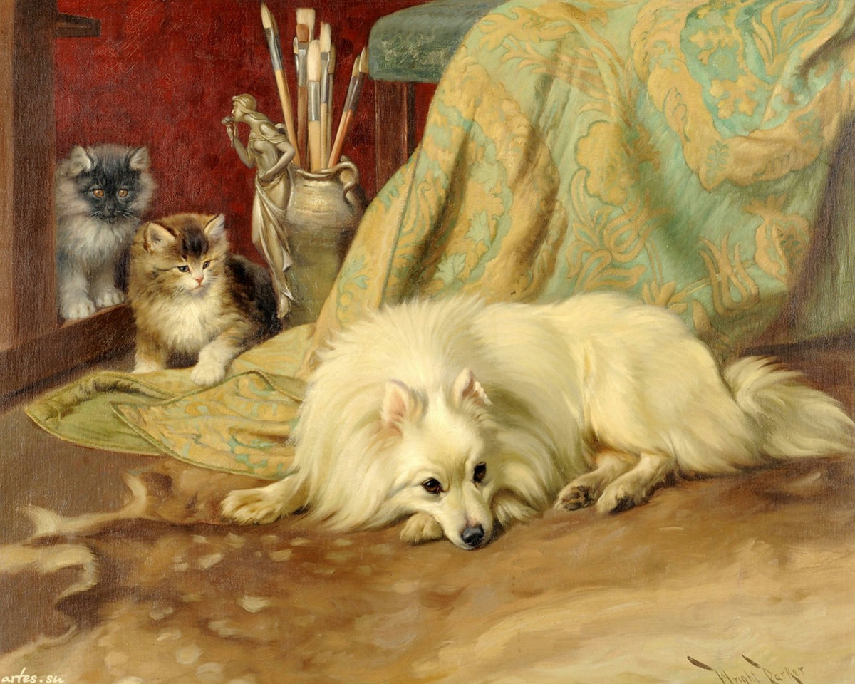 Неожиданная встреча - пес, покрывало, котята - оригинал