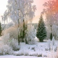 Схема вышивки «ЗИМНИЙ ПЕЙЗАЖ»