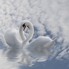 Схема вышивки «БЕЛЫЕ ЛЕБЕДИ»