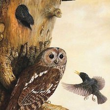 Схема вышивки «птицы»