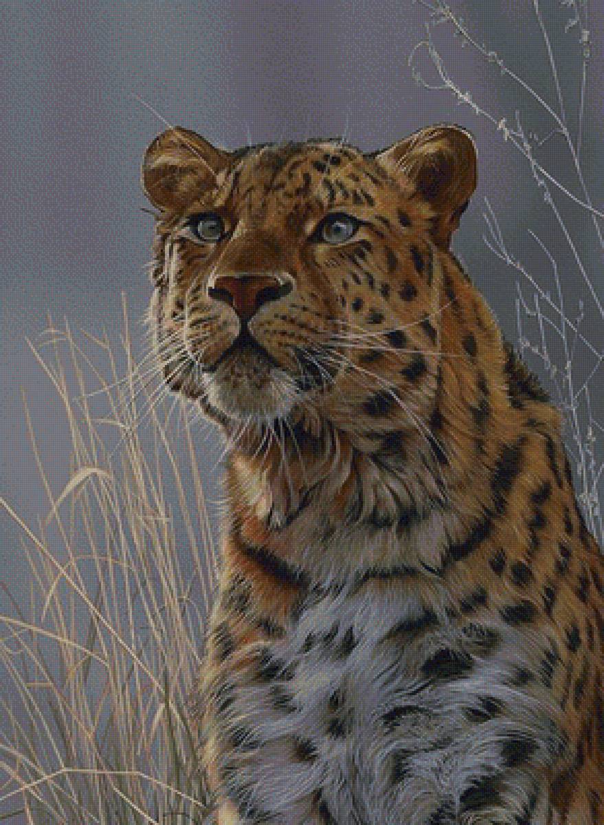 ягуар - ягуар - предпросмотр