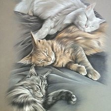 Схема вышивки «koty»