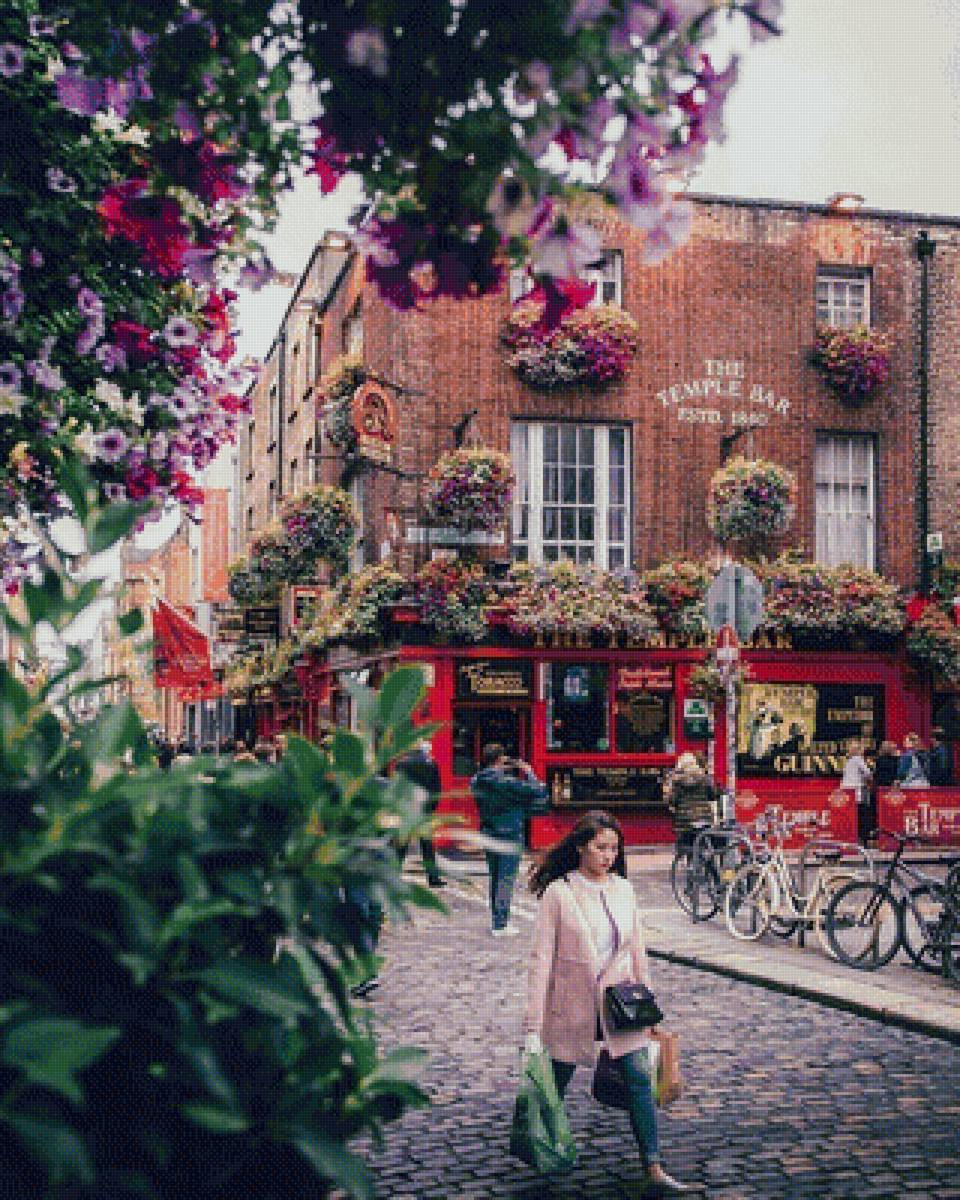 447 - предпросмотр