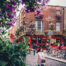 Схема вышивки «447»