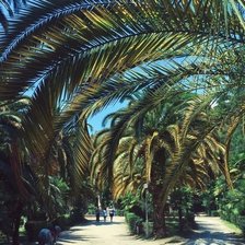 Схема вышивки «Гагра»