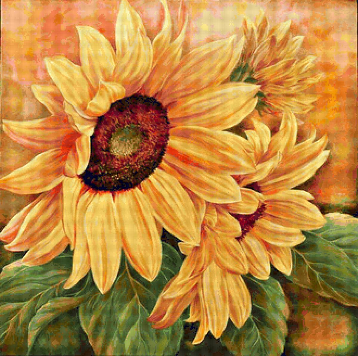 Подсолнухи - предпросмотр