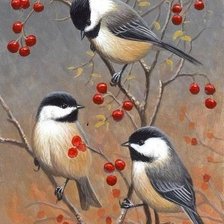 Схема вышивки «птицы»