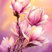 Схема вышивки «Нежная магнолия»